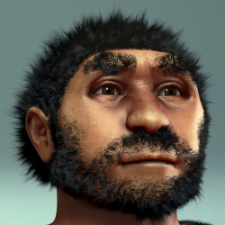 Homo_erectus_pekinensis_-_archeaeological