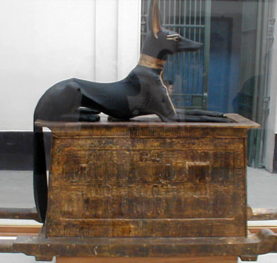 Dog on chest from tomb of Tutankhamun